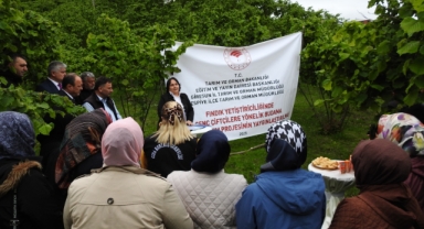 Giresun'da Tarımda Yeni Dönem: Fındık Bahçelerinde Zararlılara Karşı Tarım Danışmanları Üreticilerin Yanında