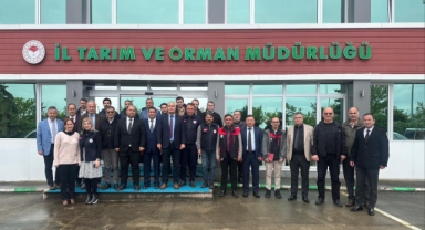 Giresun’da Zirai Don Zararının Etkileri ve Yapılan Çalışmalar Yerinde İncelendi