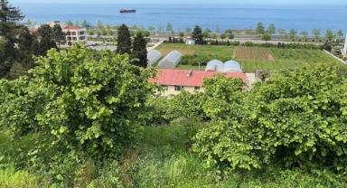 Giresun Üniversitesinden FAE'nin projelerine istatistik bilimi ve yapay zeka desteği sağlanacak