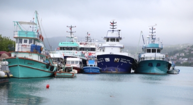 Giresun ve Ordu’da Balıkçılar Yeni Sezon İçin Kolları Sıvadı
