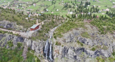 Giresun ve Trabzon sınırında yer alan Sis Dağı Yaylası çiçeklerle renklendi