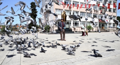 Giresunlu Ali Dedenin Güvercin Sevgisi Yürek Isıtıyor