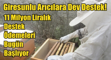 Giresunlu Arıcılara Dev Destek! 11 Milyon Liralık Destek Ödemeleri Bugün Başlıyor