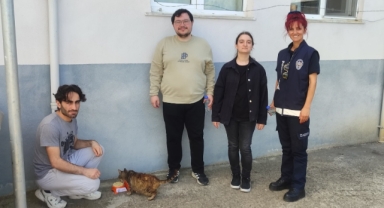 Geleceğin Şeflerinden Keşap'ta Patili Dostlara Ziyafet