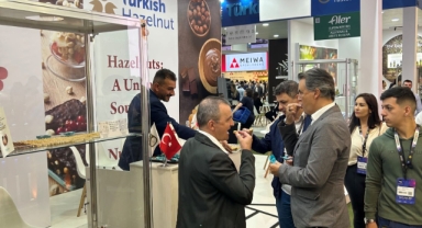 Güney Yarım Küre Türk Fındığı ile Buluştu