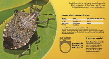 Karadeniz Fındık ve Mamulleri İhracatçıları Birliği’nden kahverengi kokarcayla mücadele çalışmalarına destek