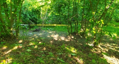 Ordu’da yaşlı adam, fındık bahçesinde ölü bulundu   