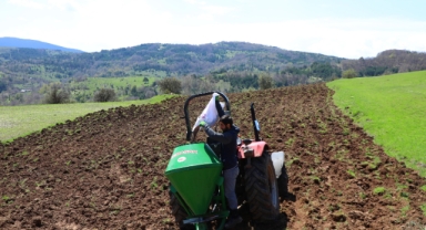 Ordu'nun atıl arazileri bereketleniyor: 34 bin 800 dekar atıl arazi tarıma kazandırıldı   