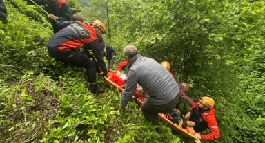 Rize'de çay hasat ederken yamaçtan yuvarlanan kişi yaralandı
