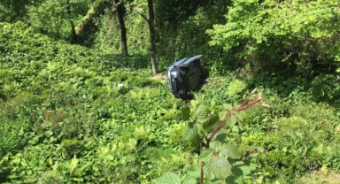 Rize'de hafif ticari aracın çay bahçesine devrildiği kazada 2 kişi yaralandı