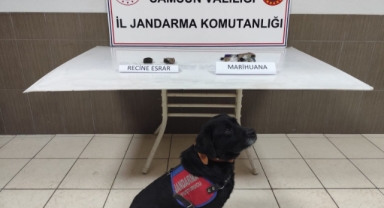 Samsun'da alışveriş çantasındaki uyuşturucu ‘Tahra’nın hassas burnundan kaçmadı