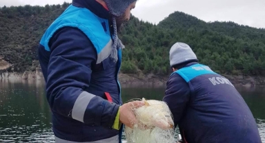 Samsun'da iç sularda av yasağına sıkı denetim