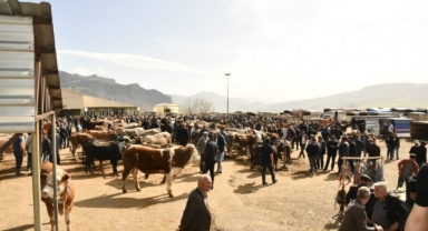 Şebinkarahisar'da Kurban Bayramı Öncesi Hayvan Pazarı Ziyareti