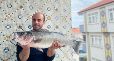 Sinop'ta 7,5 kiloluk dev levrek yakalandı