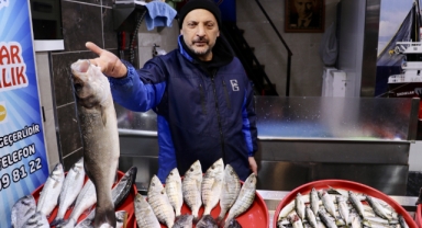 Trabzon'da tezgahlarda istavrit ve mezgit rağbet görüyor