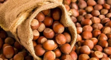 Türkiye, fındık ihracatından 8 ayda 1,9 milyar doları aşkın gelir sağladı