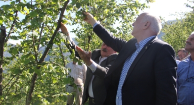 Türkiye Ziraat Odaları Birliği Genel Başkanı Bayraktar, Giresun’da zirai don incelemesinde bulundu   