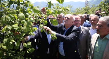 TZOB Genel Başkanı Bayraktar, Ordu'da zirai dondan etkilenen fındık bahçelerini inceledi