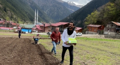 Uzungöl’de Arap turistler, tarlada mısır eken vatandaşlara hurma dağıttı, tarla belledi   