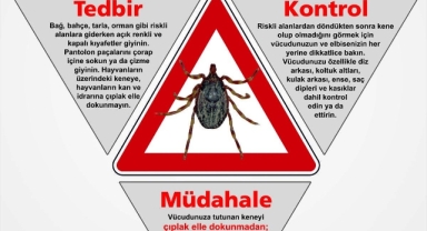 Vakaların arttığı keneye karşı alınabilecek önlemler