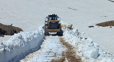 Yağlıdere’de Yayla Göçü Öncesi Hazırlıklar Hız Kesmiyor: Kar Nedeniyle Kapalı Yollarda Çalışmalar Sürüyor