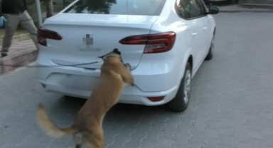 Zehir tacirlerine geçit yok: 12 gözaltı   