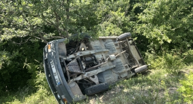 Ağaçlık alana devrilen otomobildeki karı koca yaralandı
