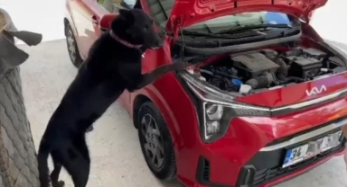 Aracın motor kısmına gizlenmiş kokain ele geçirildi