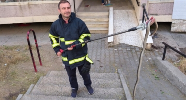 Bina girişinde bulunan yılan doğal yaşam alanına bırakıldı