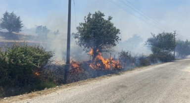Çanakkale’deki orman yangını köye ulaştı