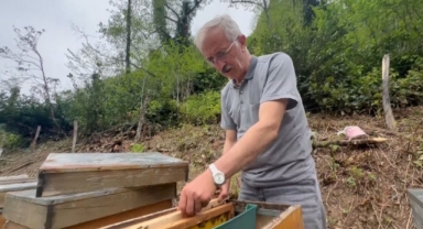 Dört Yılda Bir Hasat Ediliyor, Tansiyondan Bronşite Faydaları Saymakla Bitmiyor: Giresun’da Asırlık Yöntemlerle Üretilen Deli Bal