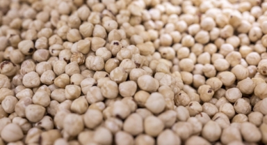 Düzce ilk 5 ayda AB ülkelerine 12 bin 851 ton iç fındık ihraç etti