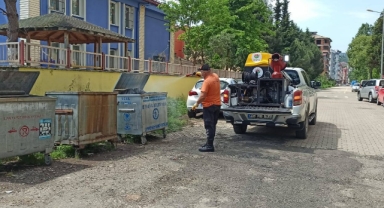 Eynesil'de İlaçlama Çalışmaları Sürüyor