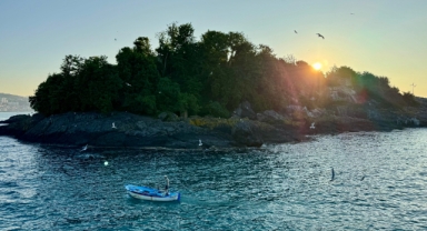 Giresun Adası’nda turizm sezonu başladı!