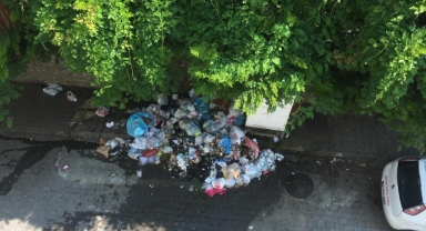 Giresun’da 2025 Yılı Manzarası: Çöp Dağları, Kötü Koku, Sinek Ordusu!