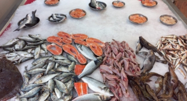 Giresun'da balık fiyatları bugün ne kadar?