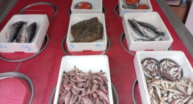 Giresun'da balık fiyatları bugün ne kadar?