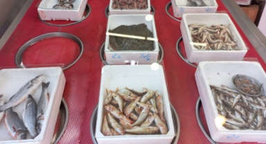 Giresun'da balık fiyatları bugün ne kadar?