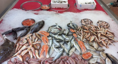 Giresun'da balık fiyatları bugün ne kadar?