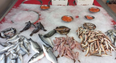 Giresun'da balık fiyatları bugün ne kadar?