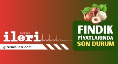 Giresun'da fındık piyasasında son durum… Fındık fiyatları bugün ne kadar?