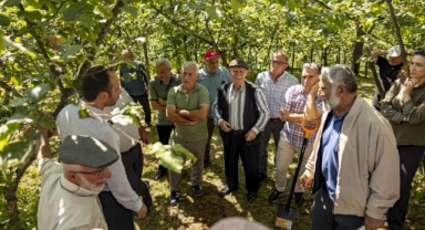 Giresun'da Fındıkta Verimliliği Artıracak Eğitimler Devam Ediyor