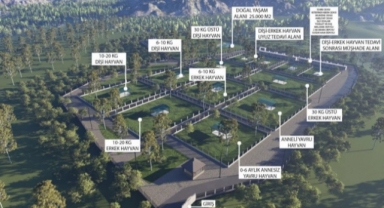 Giresun'da Sokak Hayvanlarına Yuva Olacak Dev Projede Sona Gelindi