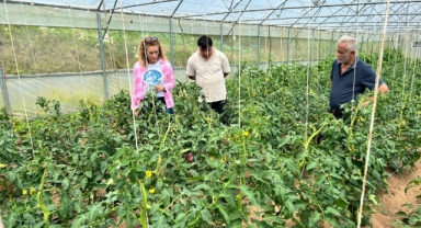 Giresun İl Tarım Müdürlüğü’nden Sürdürülebilir Tarıma Güçlü Destek