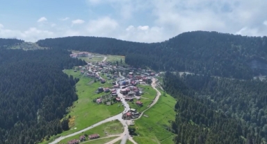 Giresun'un O Yaylası, Tatilde Ziyaretçi Akınına Uğradı