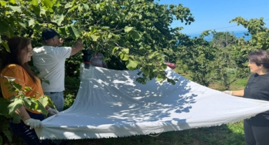 İŞKUR İşgücü Uyum Programı Kapsamında Giresun Fındık Araştırma Enstitüsü’nde Eğitimler Devam Ediyor