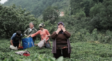Islık Dili İçin Kültürlerarası Çalıştay: Giresun Ev Sahipliği Yapacak!