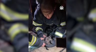 İtfaiye ekipleri yangından kurtardıkları kediye kendi maskelerinden oksijen verdi