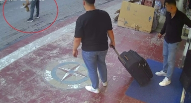 Kediye Heimlich manevrası yaparak hayatını kurtardı... O anlar kamerada