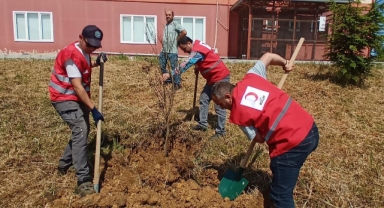 Kızılay Giresun’dan Yeşil Bir Gelecek İçin Anlamlı Adım: Narenciye Bahçesi Oluşturuldu